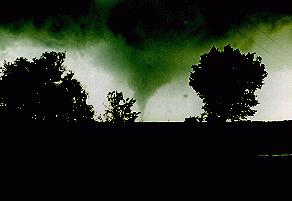 tornadoe2.gif (8489 bytes)